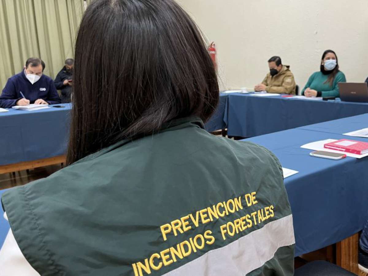 Provincia de Linares cuenta con el primer Comité para la Gestión de Riesgos y Desastres