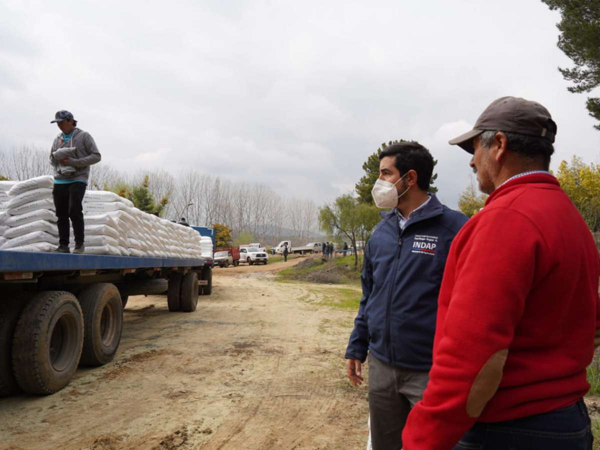 Con entregas en Ninhue, Quirihue y Cobquecura parte en  Ñuble la entrega de #Fertilizantes para Chile