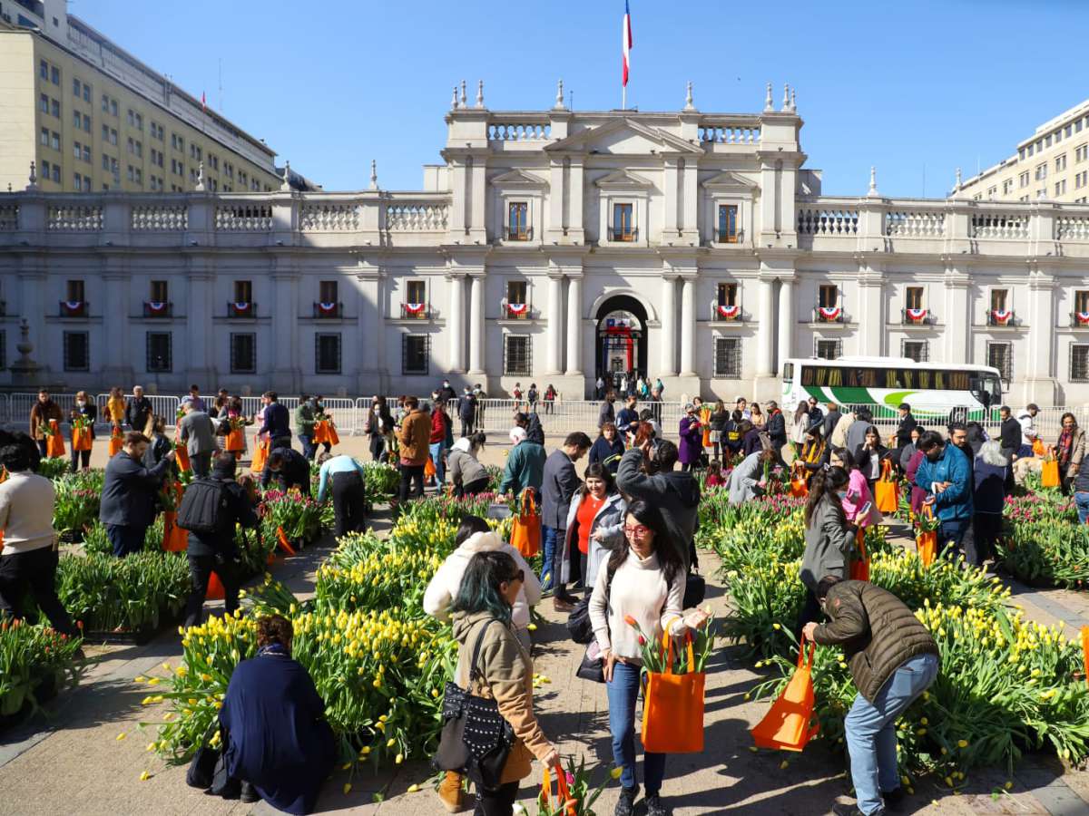 Países Bajos celebra el Día Nacional del Tulipán y da la bienvenida a la primavera