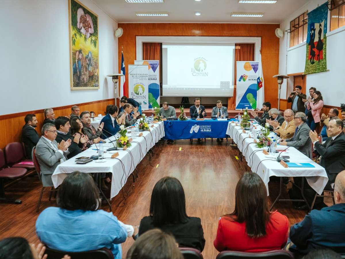  Consejo Regional aprueba recursos para programas de apoyo a pequeños agricultores de Ñuble