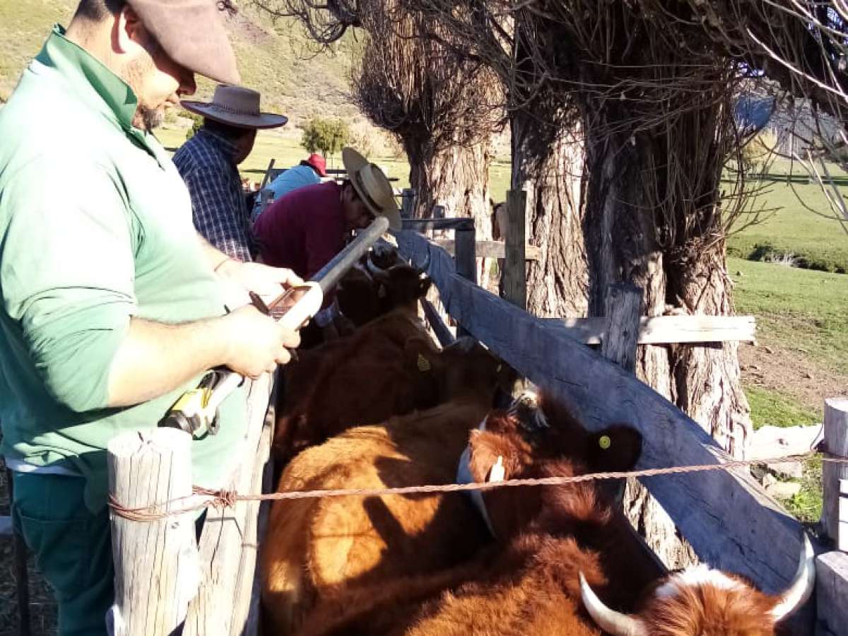 En funcionamiento primera barrera sanitaria del SAG