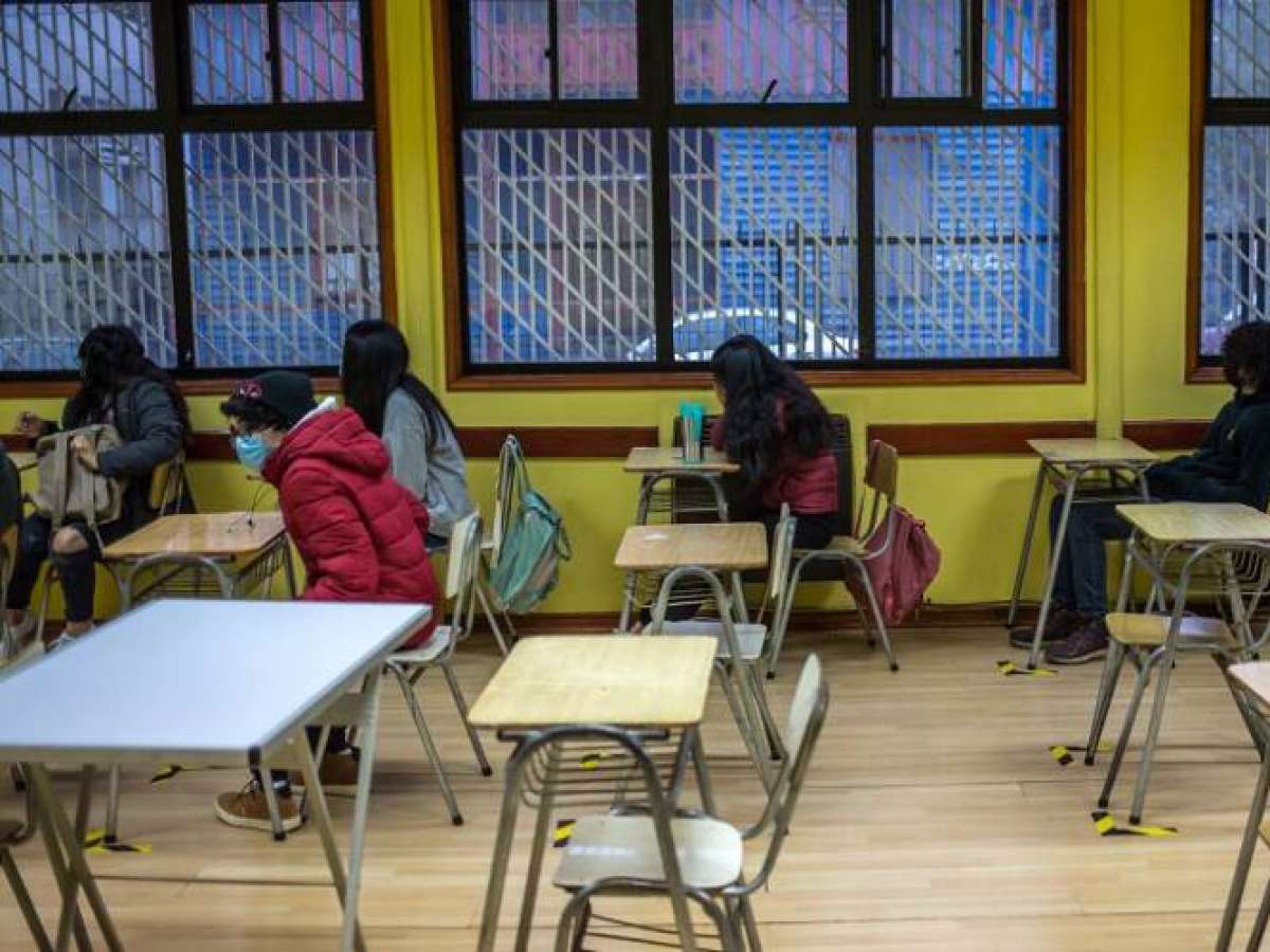 Apoderada golpea a profesora y directora en escuela de San Felipe: Caso de agresión desata preocupación