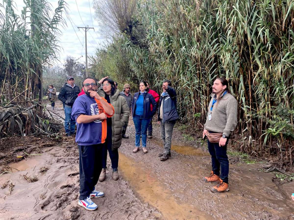 Ministerio de Agricultura inicia preparación de catastro para cuantificar daños en el sector silvoagropecuario