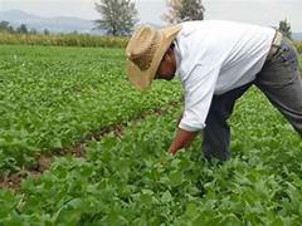 Subsecretaria de agricultura informó de las ayudas que el gobierno entregará a afectados por las lluvias en la región
