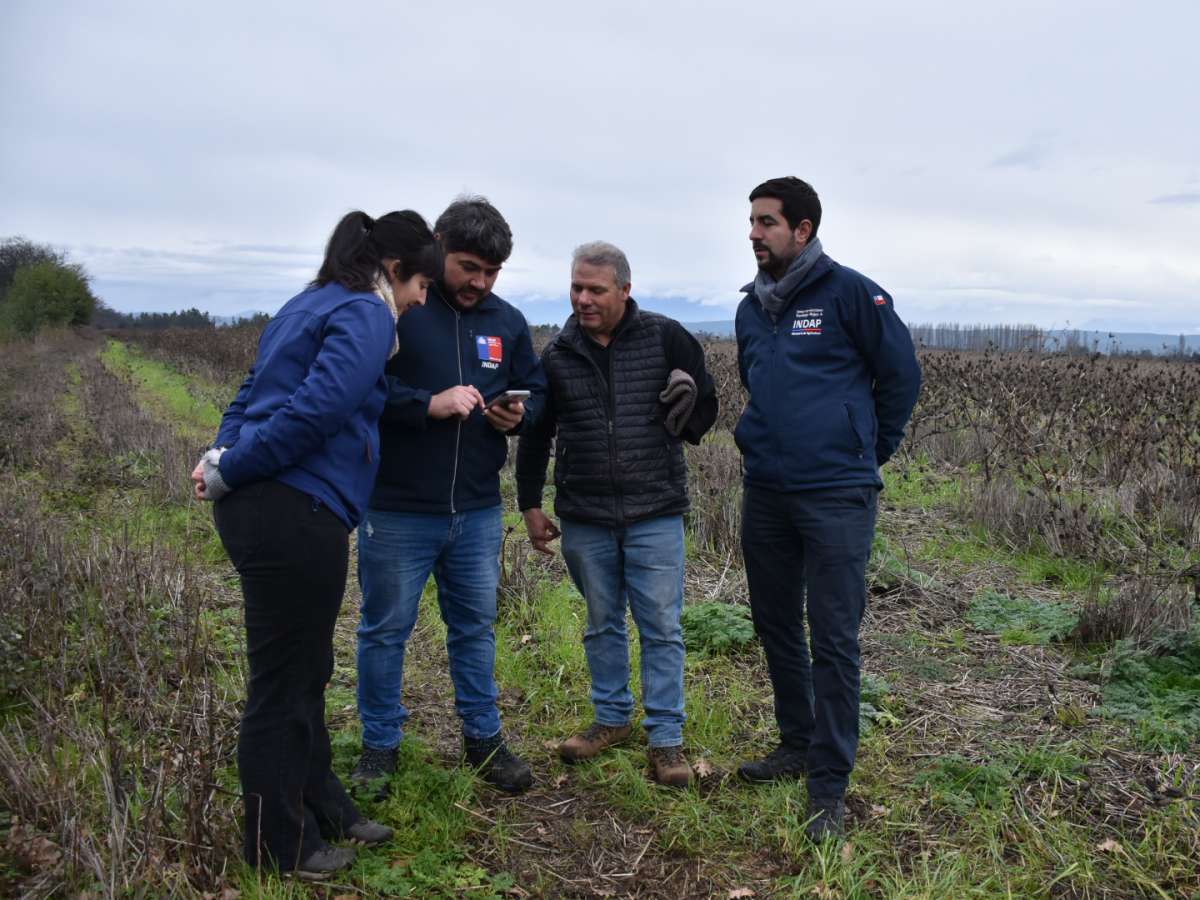 Con más de 500 agricultores de Ñuble avanza catastro de emergencia y reconstrucción productiva del agro