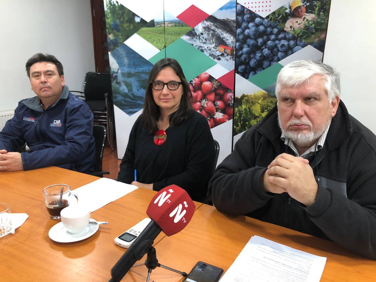 Corfo informó esta mañana sobre instrumentos y programas relacionados con el agro