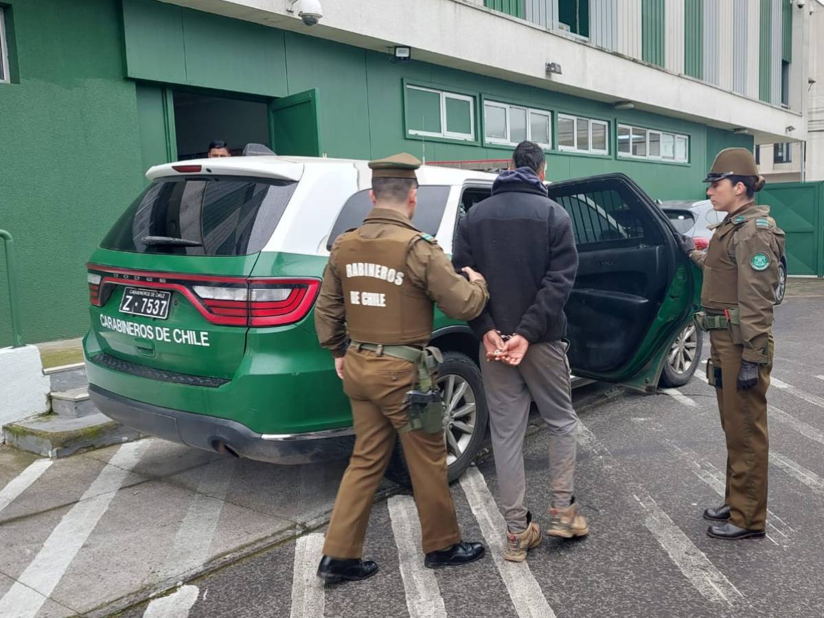 Carabineros detuvo en San Fabian a individuo que fue sorprendido robando ovinos desde un predio particular