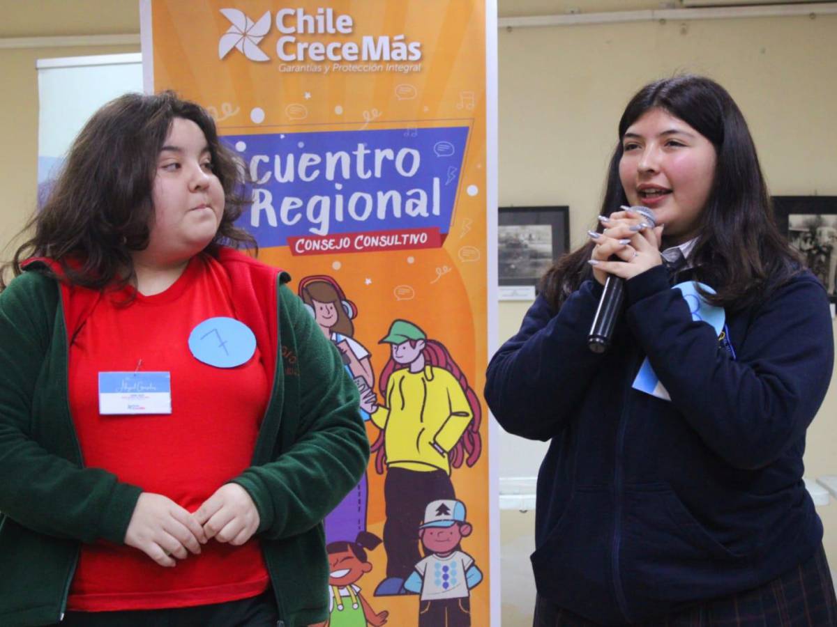 Jóvenes representarán a Ñuble en Consejo Consultivo Nacional de Niños, Niñas y Adolescentes