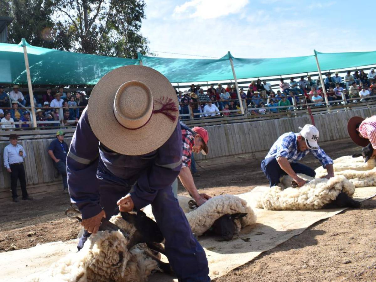 Tradicional ‘Fiesta de la Esquila’ de Puyamávida se tomará San Nicolás este sábado