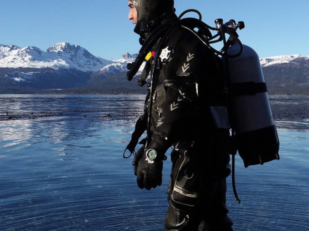 La mirada de Mauricio Palacios, el biólogo marino que busca proteger los bosques azules de la Patagonia.