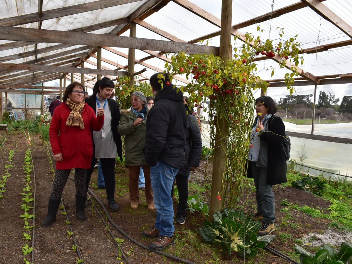 Proyecto de Cooperación Chile – México apoya a mujeres emprendedoras de Ñuble a mejorar sus sistemas de inocuidad y calidad alimentaria