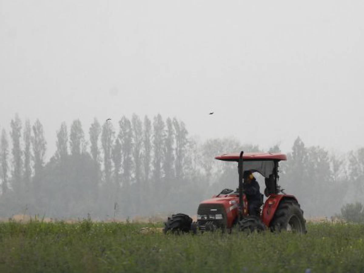 Hombre pierde la vida tras caer de tractor y ser aplastado en Lautaro