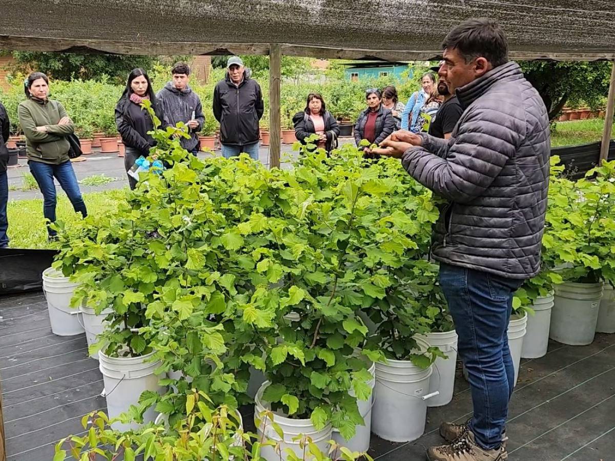 Durante dos días Chillán será la capital mundial del Control Biológico y de los Bioinsumos