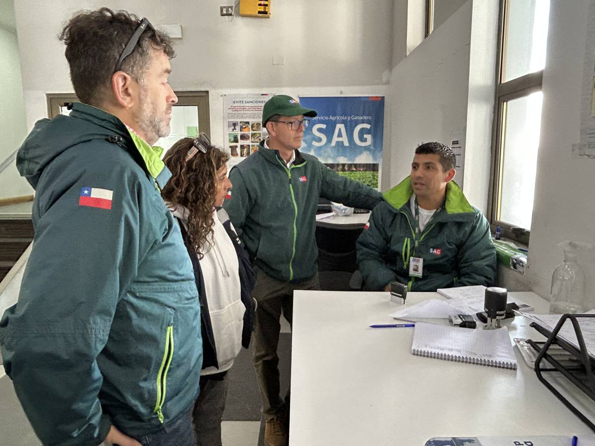 Director (s) del SAG junto a Seremi de Agricultura verifican  operatividad de Paso Pehuenche