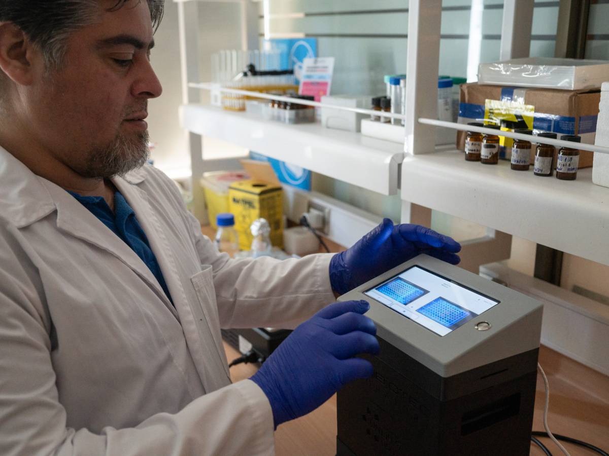 USS desarrolla un kit nano-genosensor para el diagnóstico de la tuberculosis bovina