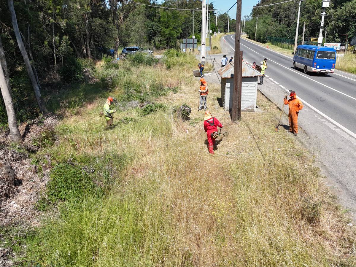 MOP limpia 217 kilómetros de fajas viales en 11 rutas claves de Ñuble para prevenir incendios forestales