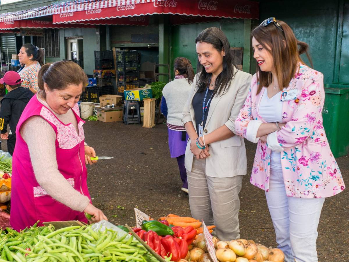 Autoridades de Salud lanzan campaña para un verano seguro en Ñuble Promueven el autocuidado, la prevención de enfermedades y la preparación de la red asistencial para la temporada 2024/2025.