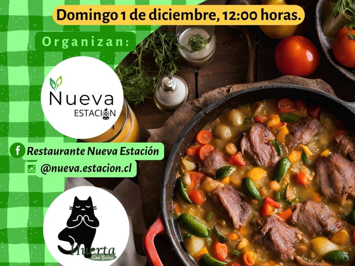 Wen Provecho Feria 2024: Paillaco se convierte en epicentro de la gastronomía y actividades culturales