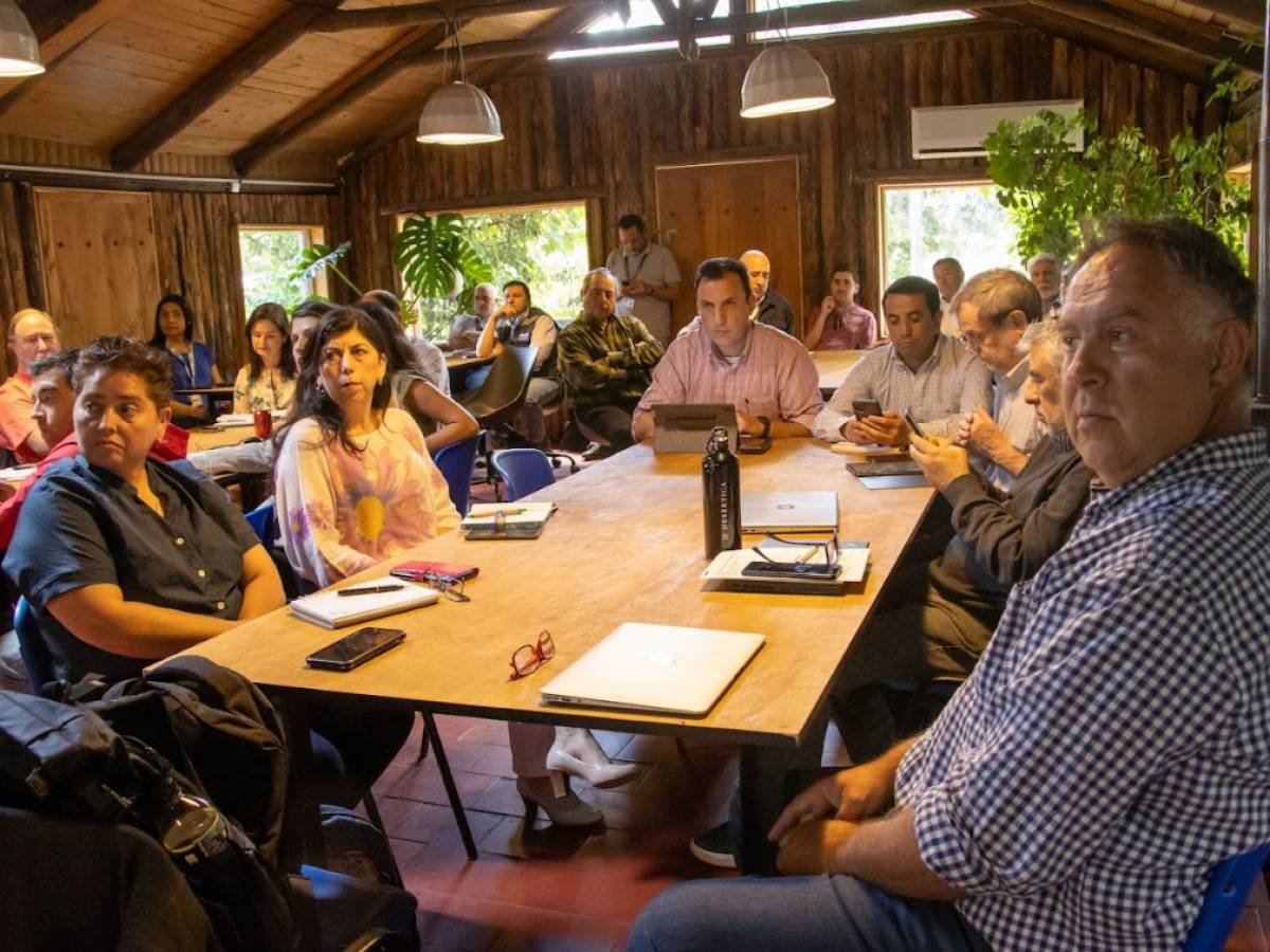 Odepa realizó seminarios de Agricultura de Contrato y Calidad de Trigo