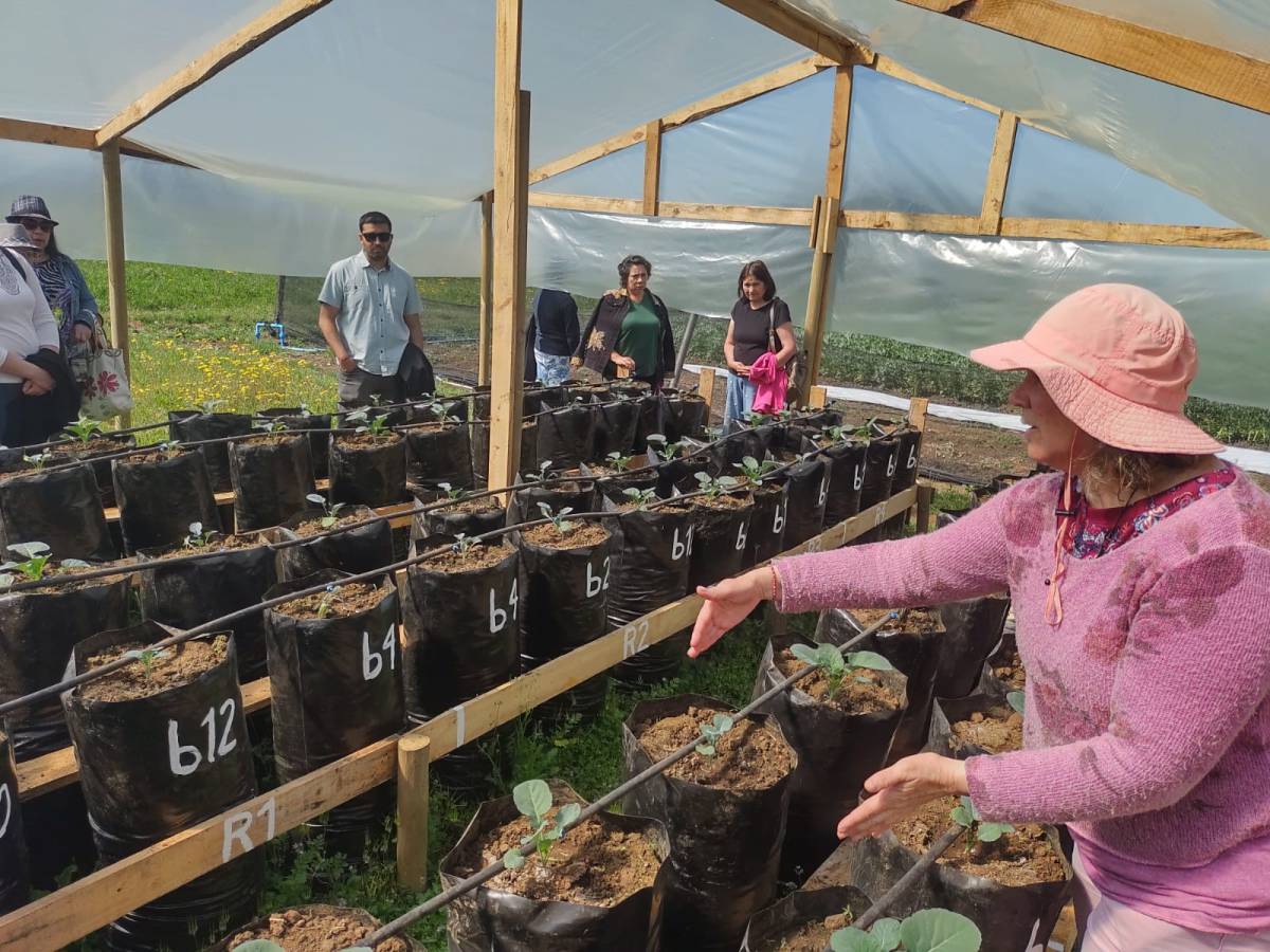 Agricultores de San Carlos fortalecen sus conocimientos gracias a la capacitación de la UdeC