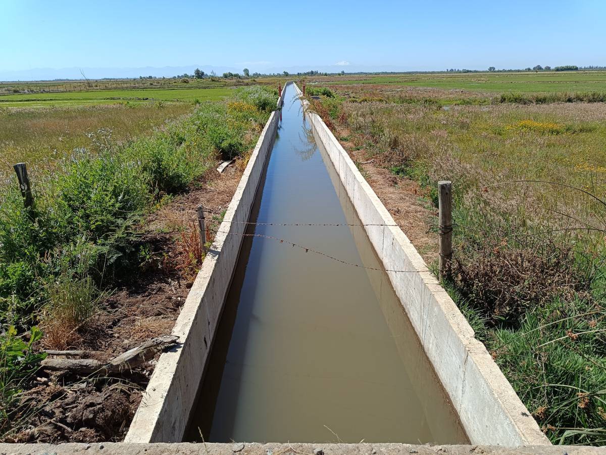 CNR y regantes de Ñiquén inauguran revestimiento del Canal Bustos: avance clave para la agricultura del norte de Ñuble