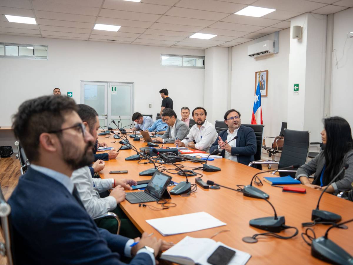 Mesa de Energía destaca trabajo realizado desde Ñuble para la aprobación de la Ley de Transición Energética