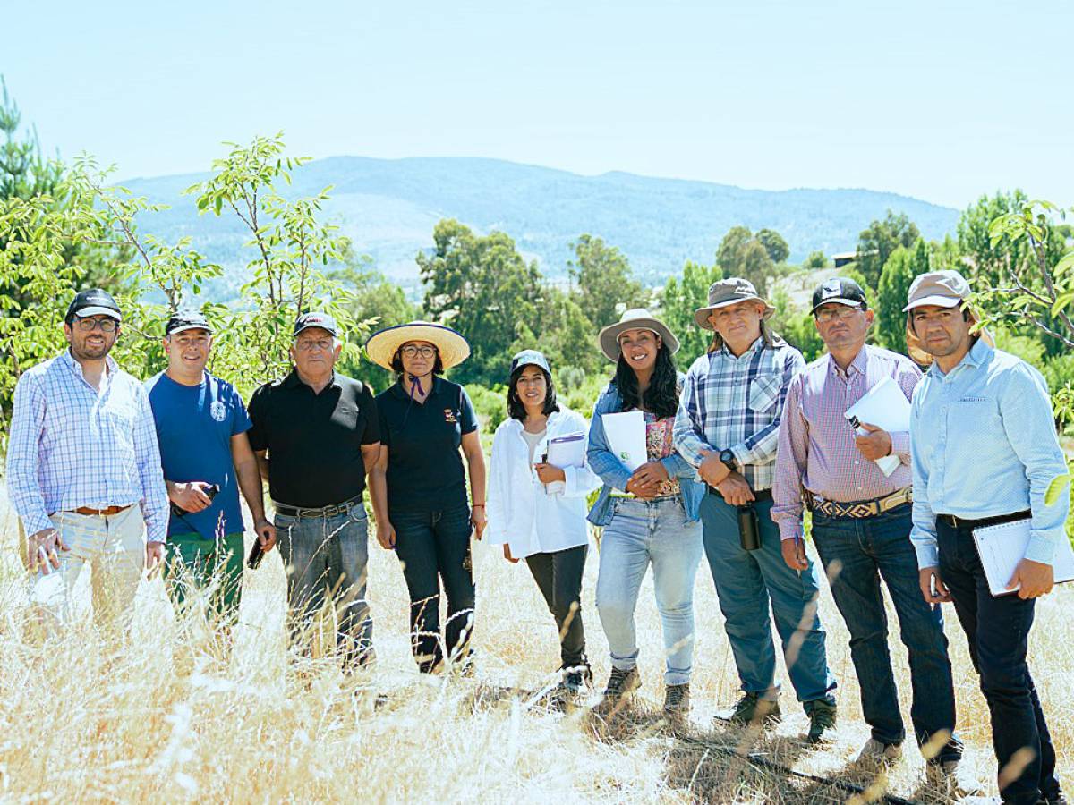 Fruticultores de Ninhue recibieron asesoría técnica para potenciar especies innovadoras