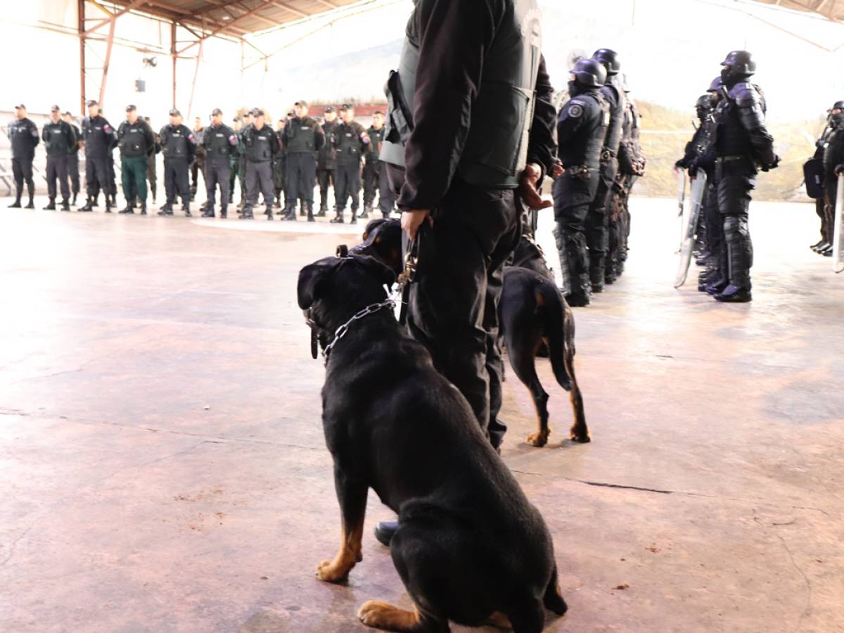 Gendarmería culmina el año con operativos de registros y allanamientos en todas las unidades penales de Ñuble