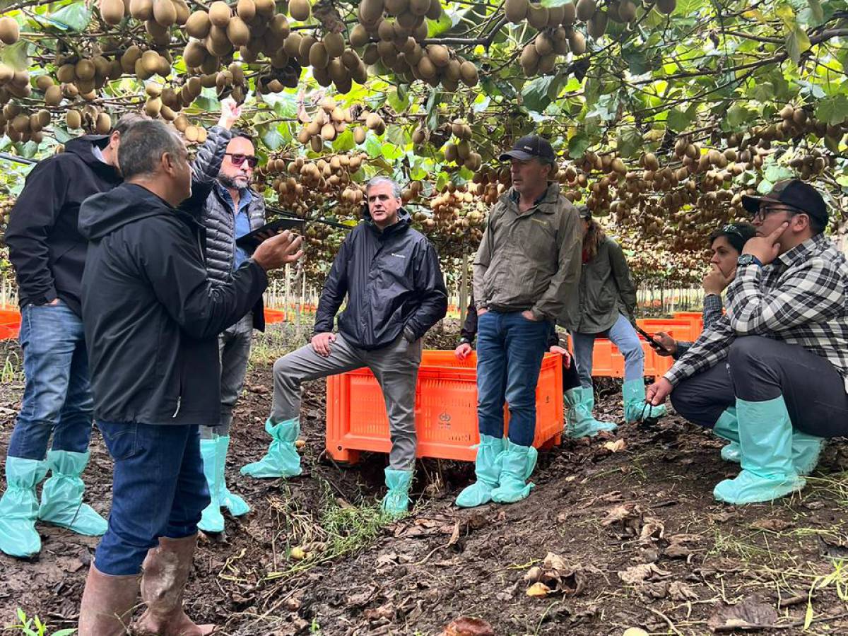 Últimos días para postular a fondos FIA y GORE Maule: Innovación en el agro al alcance