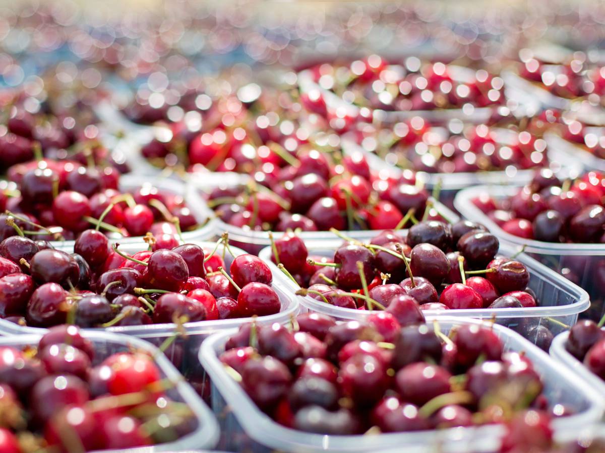 El fenómeno de la cereza chilena en China: un mercado en auge