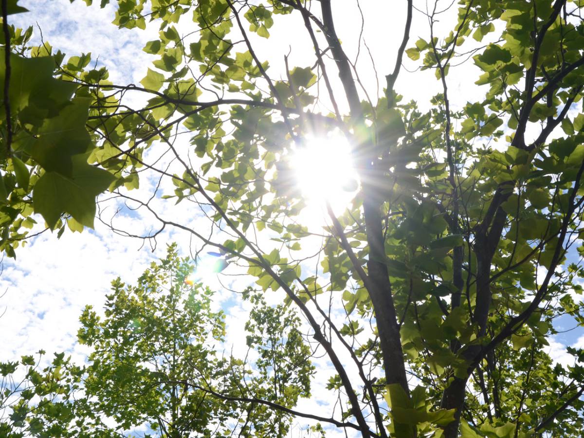 Ola de calor: Se espera primer peak de temperaturas extremas de 2025