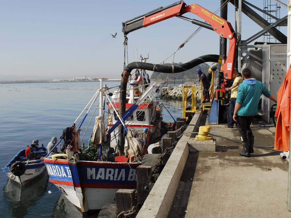 Pescadores Industriales del Biobío recurre a Tribunales para que la justicia obligue a las autoridades pesqueras a proteger los recursos del mar