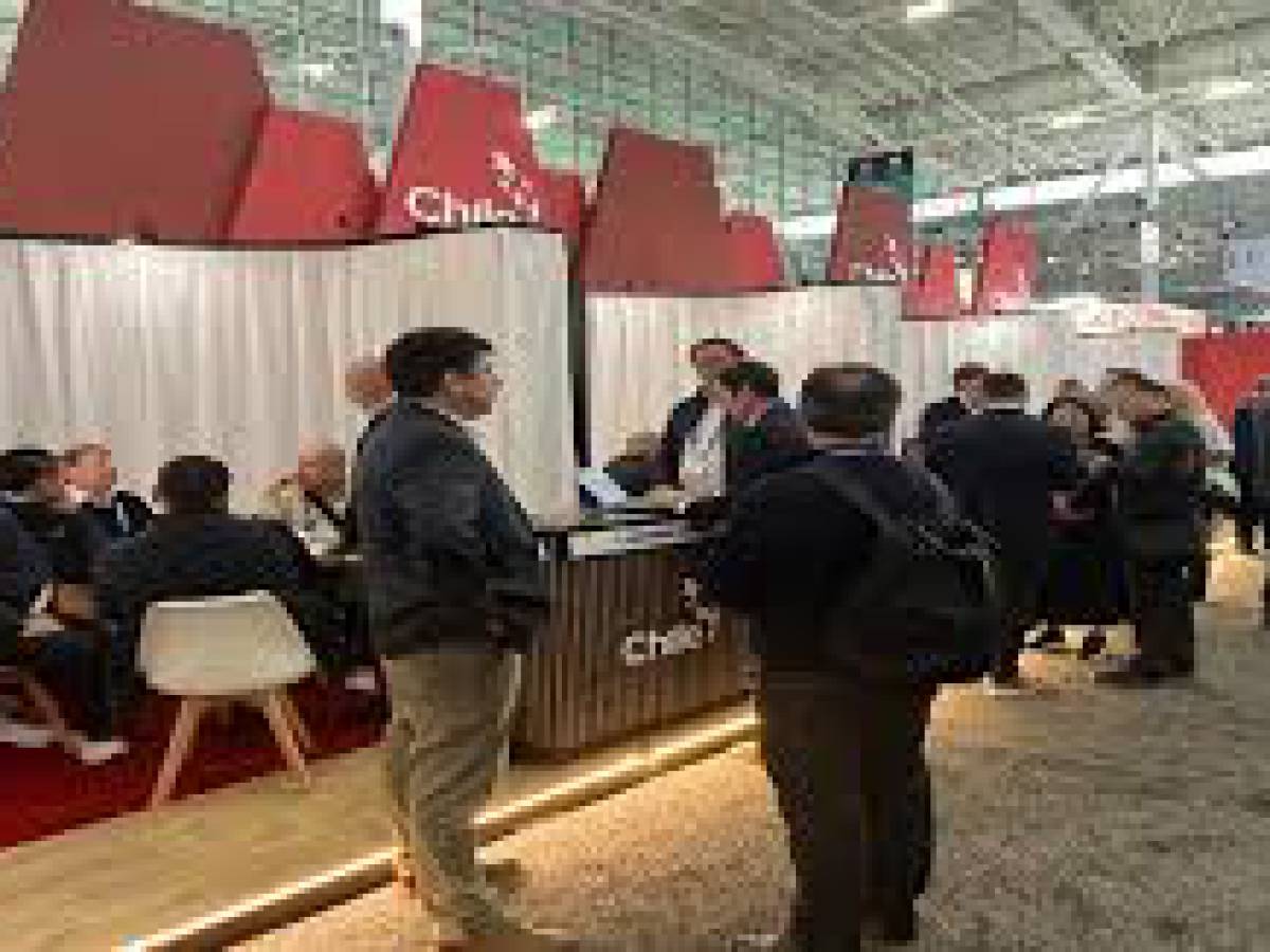 Chile destacará su oferta de pescados y mariscos en la Seafood Expo North America 2025