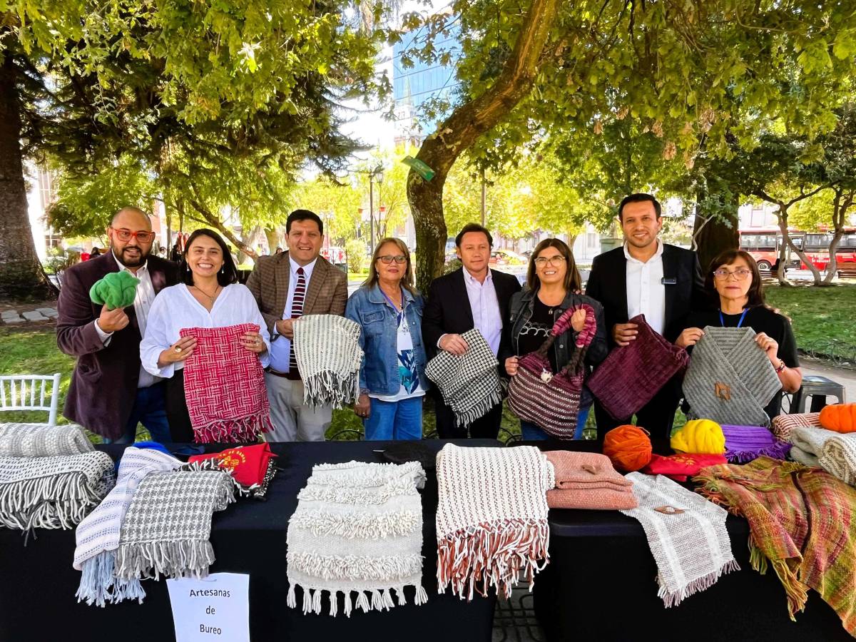 El Maule celebró el Día Internacional de la Artesanía con una intervención en la Plaza de Talca