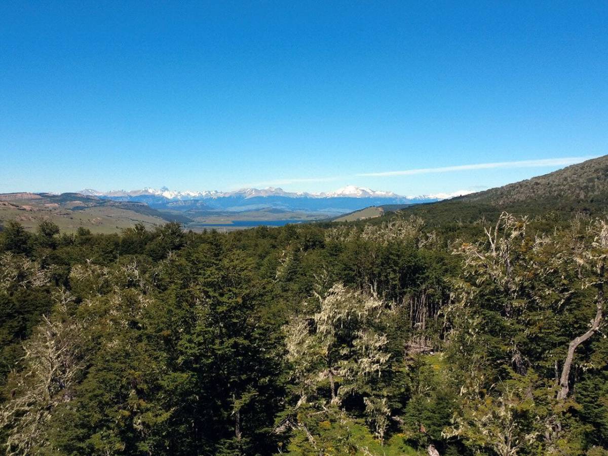 Invertir en parcelas: la nueva forma de ser propietario en Chile