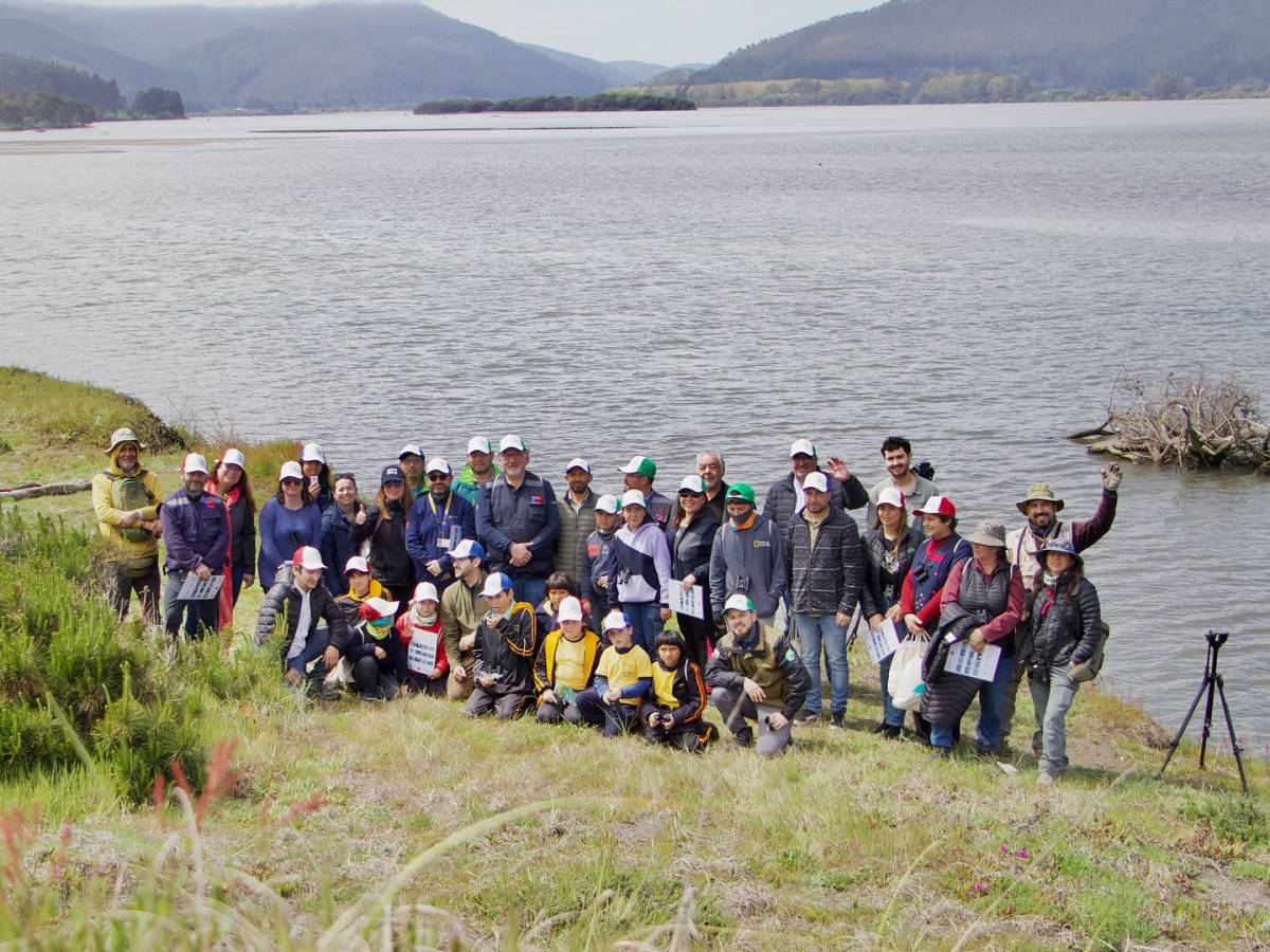 Día Mundial de las Aves Migratorias: Seremi del Medio Ambiente reafirma su compromiso con la protección de estas especies y sus hábitats 