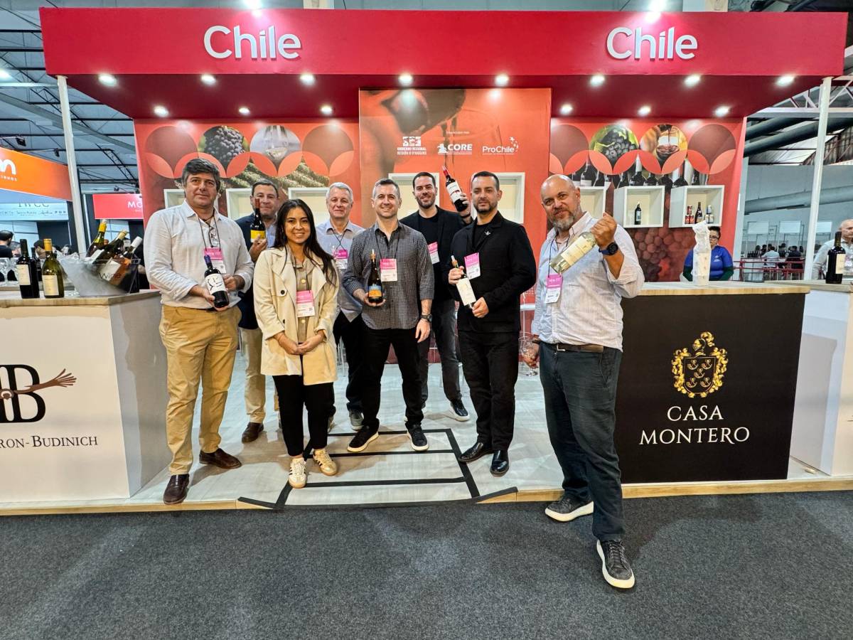 Viñas de la Región de O’Higgins presentaron su oferta de vinos en Wine South América