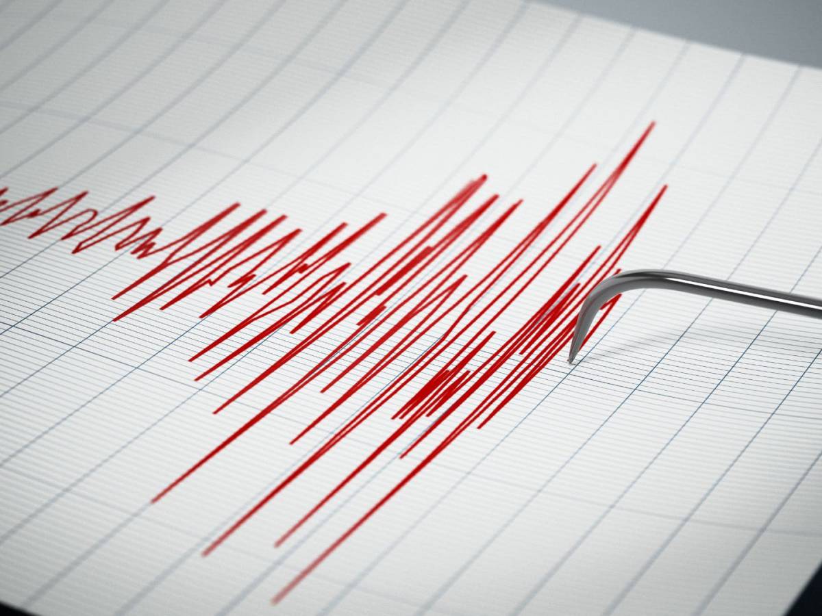 Sismo de magnitud 7,8 en el extremo sur activa zona de falla distinta a la clásica subducción chilena
