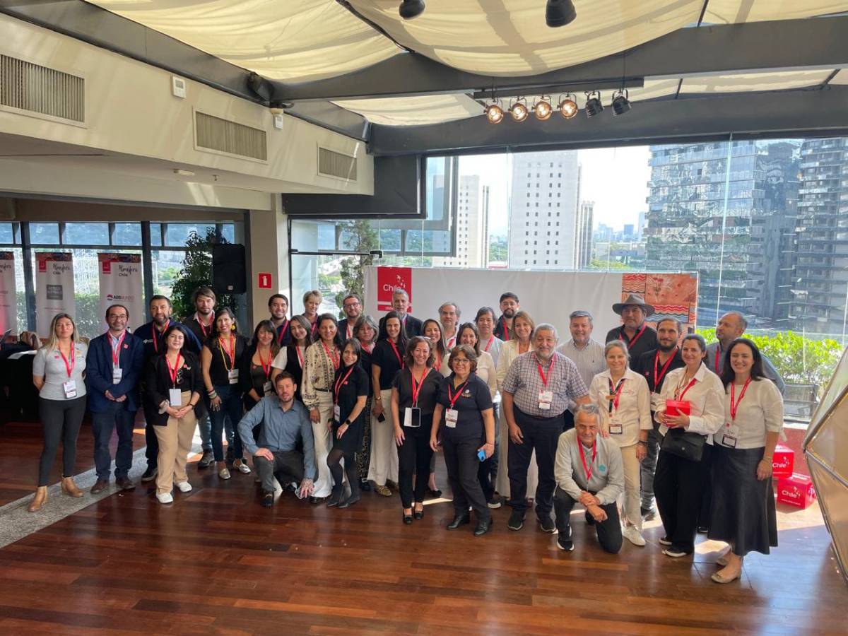 Ñuble continúa su promoción turística internacional en Workshop en Brasil