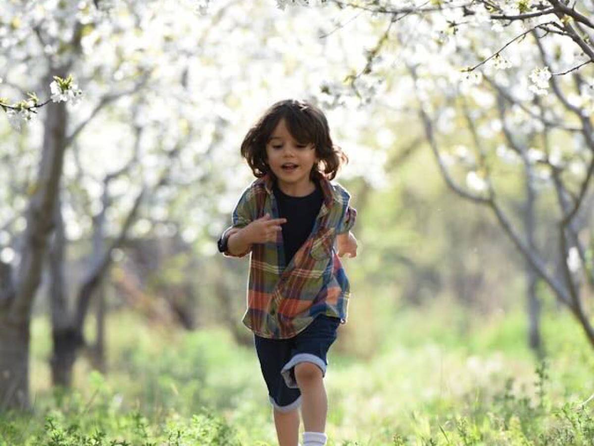 Niños en movimiento: Cómo la educación Montessori fomenta la concentración y perseverancia desde edades tempranas