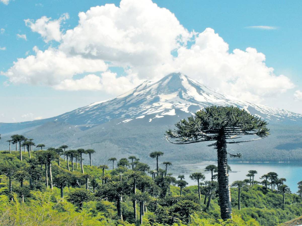 Lanzan proyecto para desarrollar Hidrógeno Verde en La Araucanía
