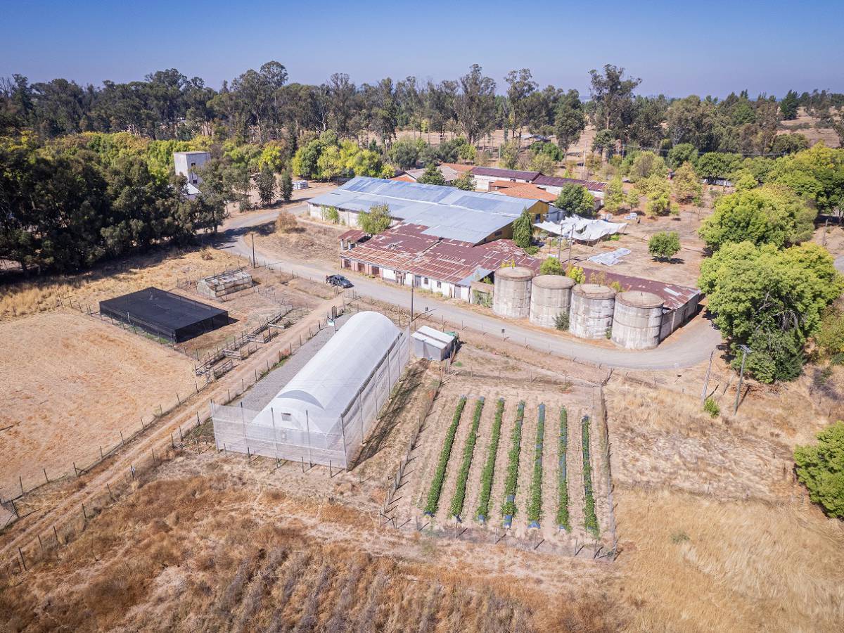 INIA Cauquenes conmemora 100 años de historia, ciencia y compromiso con la agricultura de secano
