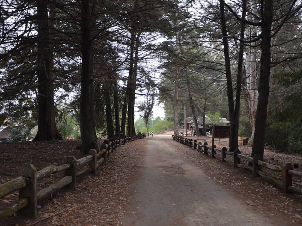 Dunas, historia y naturaleza: reserva Federico Albert abre sus puertas gratis este 24 y 25 de mayo